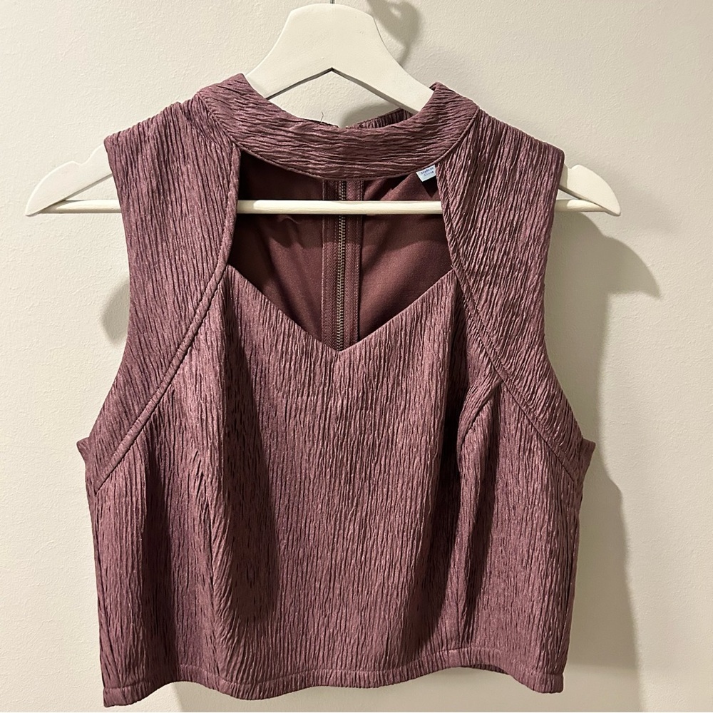 She + Sky Textured Mauve Crop Top